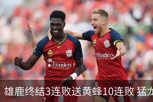 雄鹿终结3连败送黄蜂10连败 猛龙送火箭3连败